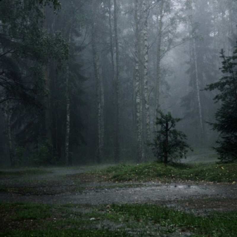 Открытка я как в лесу без тебя   одна и плохо мне  Я по тебе скучаю 