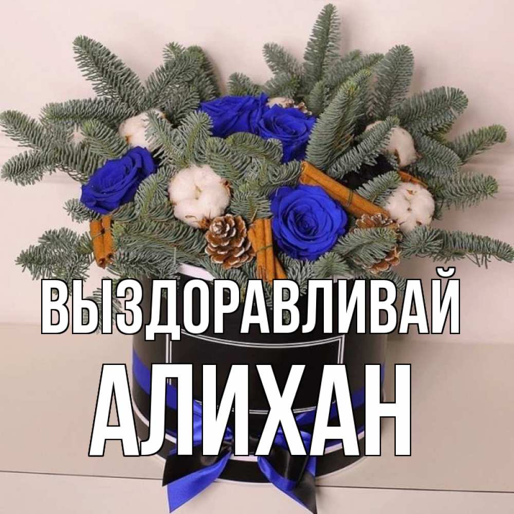 Открытка на каждый день с именем, Алихан Выздоравливай короче кто то загрузил эти шишки Прикольная открытка с пожеланием онлайн скачать бесплатно 