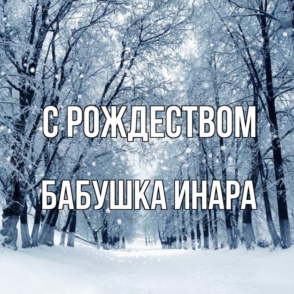 Открытка на каждый день с именем, Бабушка-Инара С рождеством снег, лес, парк Прикольная открытка с пожеланием онлайн скачать бесплатно 