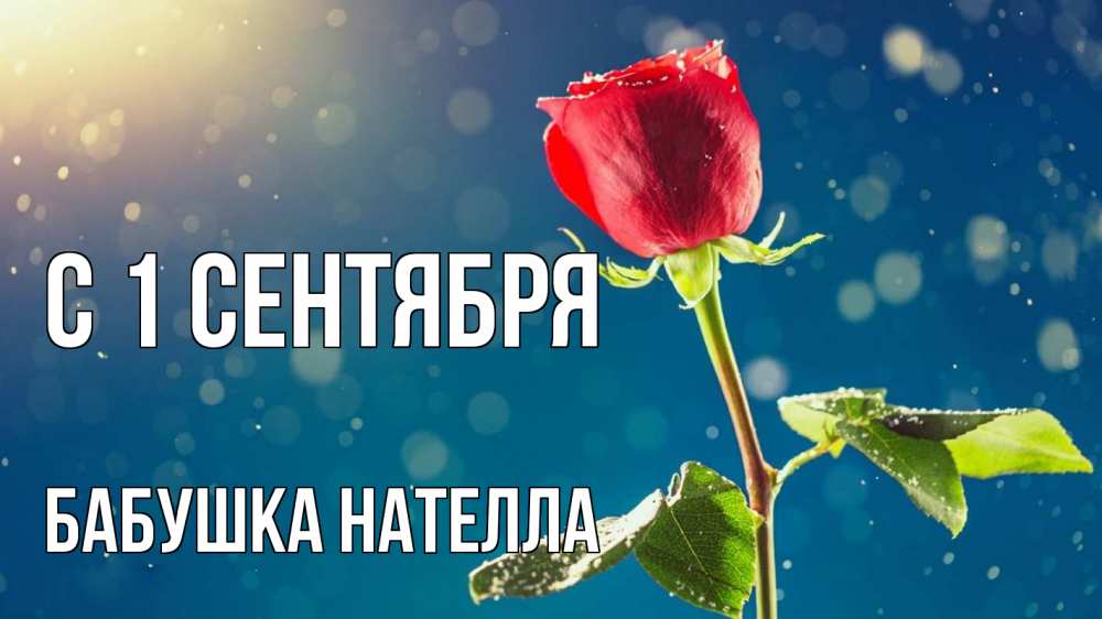 Открытка на каждый день с именем, Бабушка-Нателла С 1 сентября с днем знаний Прикольная открытка с пожеланием онлайн скачать бесплатно 
