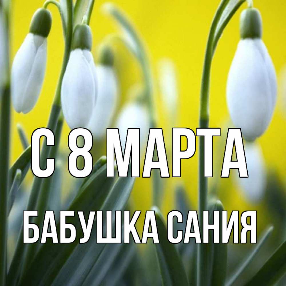 Открытка на каждый день с именем, Бабушка-Сания С 8 марта весенние цветы Прикольная открытка с пожеланием онлайн скачать бесплатно 
