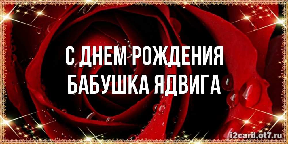 Открытка на каждый день с именем, Бабушка-Ядвига С днем рождения цветок в росе на день рождения Прикольная открытка с пожеланием онлайн скачать бесплатно 