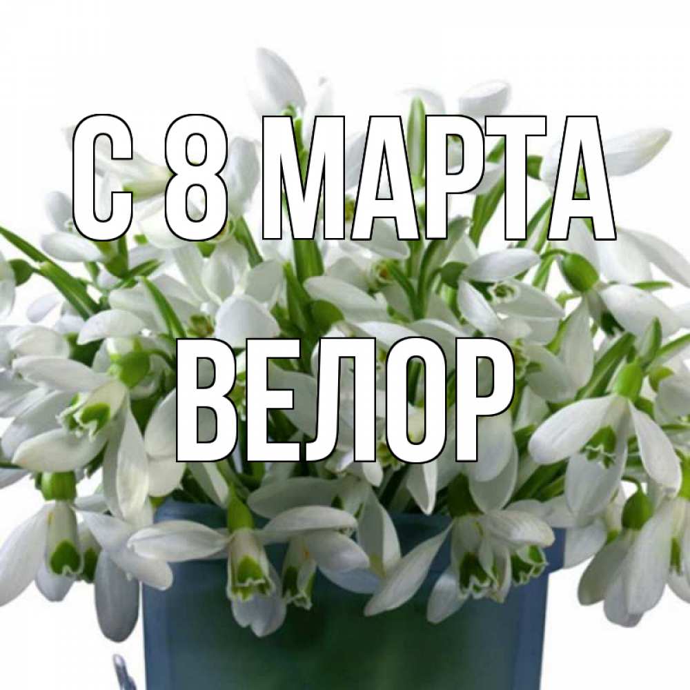 Открытка на каждый день с именем, Велор С 8 МАРТА цветы к международному женскому дню Прикольная открытка с пожеланием онлайн скачать бесплатно 