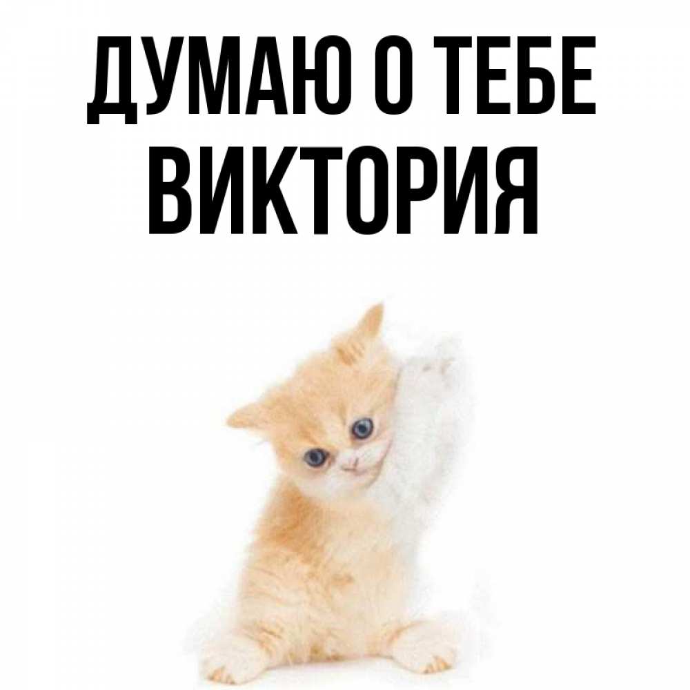 Открытка на каждый день с именем, Виктория Думаю о тебе зверушки и милота Прикольная открытка с пожеланием онлайн скачать бесплатно 