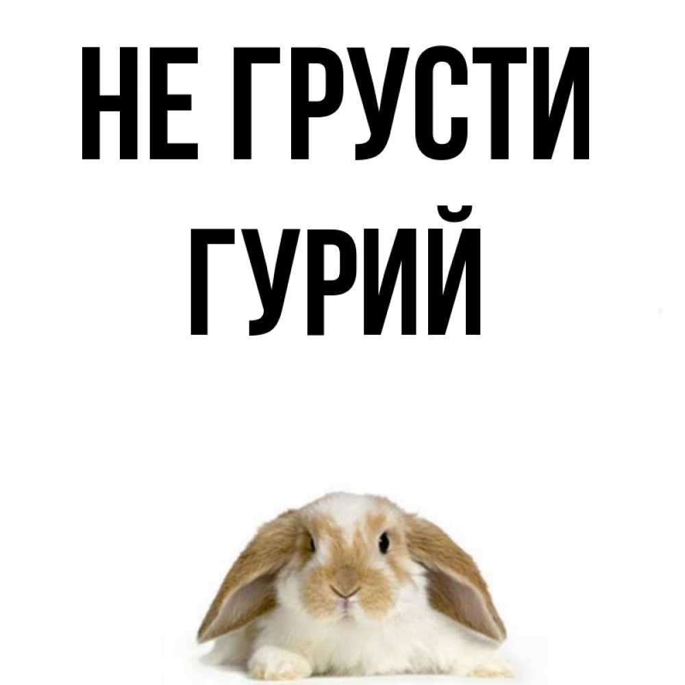 Открытка на каждый день с именем, Гурий Не грусти коричнево белый заяц с большими ушками Прикольная открытка с пожеланием онлайн скачать бесплатно 