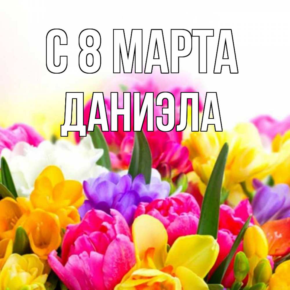 Открытка на каждый день с именем, Даниэла С 8 МАРТА тюльпаны Прикольная открытка с пожеланием онлайн скачать бесплатно 