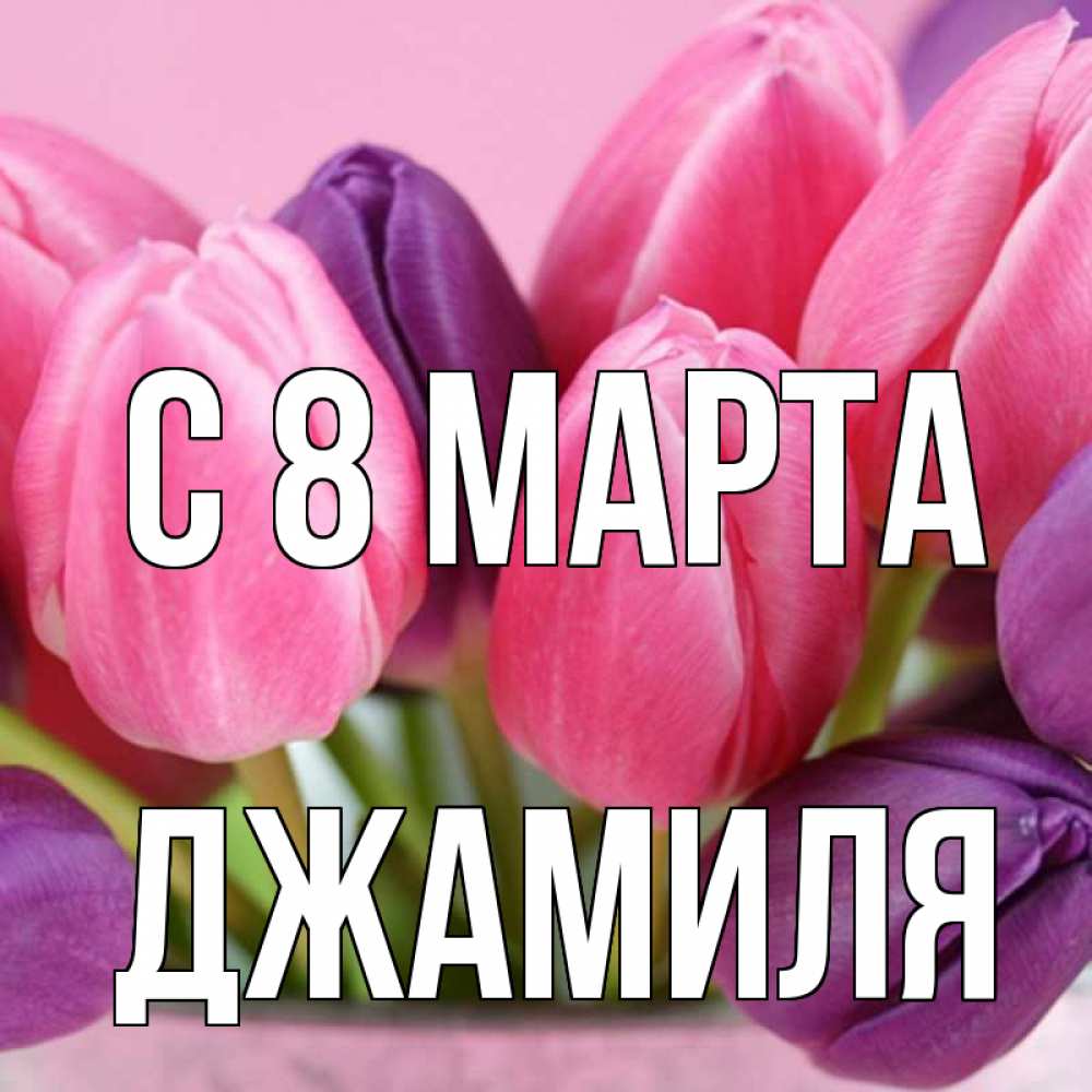 Открытка на каждый день с именем, Джамиля С 8 марта маме 1 Прикольная открытка с пожеланием онлайн скачать бесплатно 