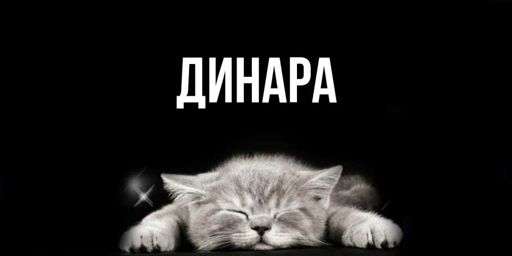 Открытка на каждый день с именем, Динара Главная спящий котик Прикольная открытка с пожеланием онлайн скачать бесплатно 