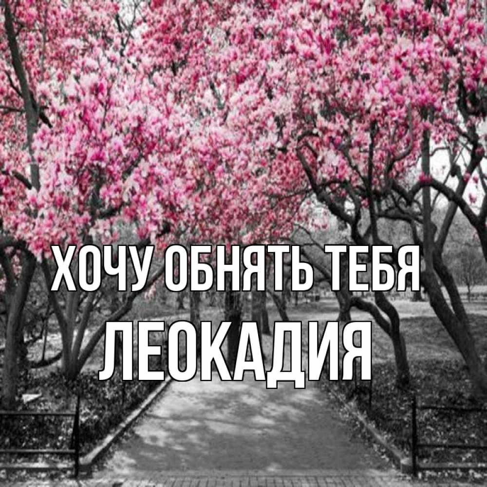 Открытка на каждый день с именем, Леокадия Хочу обнять тебя обработанное фото Прикольная открытка с пожеланием онлайн скачать бесплатно 