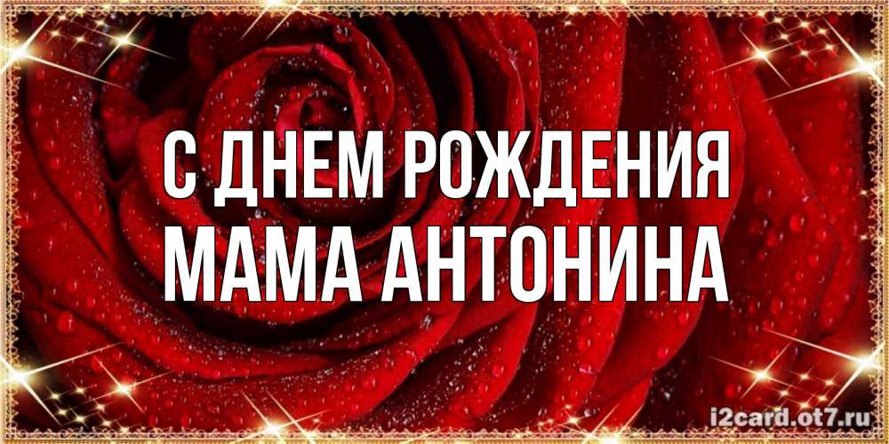 Открытка на каждый день с именем, Мама-Антонина С днем рождения роса на розе блестящая в лучах солнца Прикольная открытка с пожеланием онлайн скачать бесплатно 