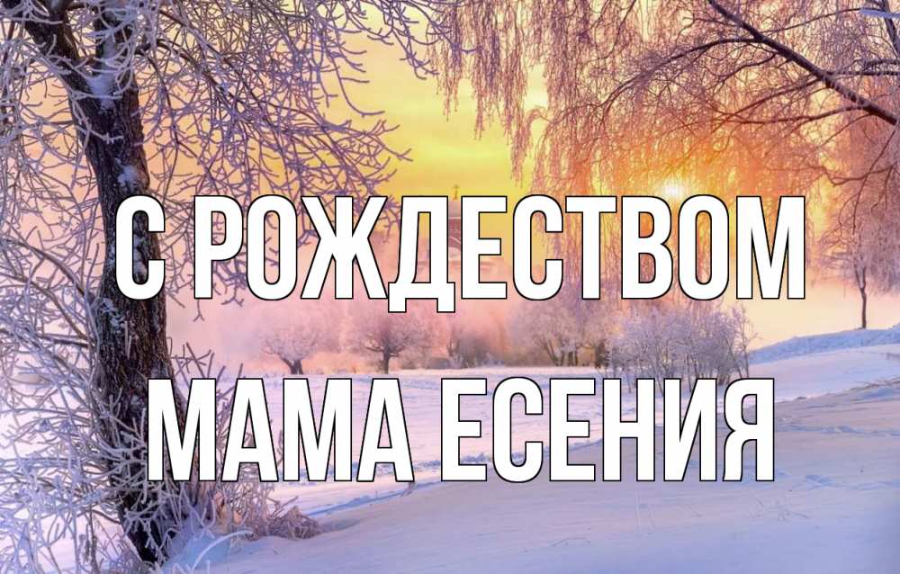 Открытка на каждый день с именем, Мама-Есения С рождеством рождество, лес, зима 1 Прикольная открытка с пожеланием онлайн скачать бесплатно 