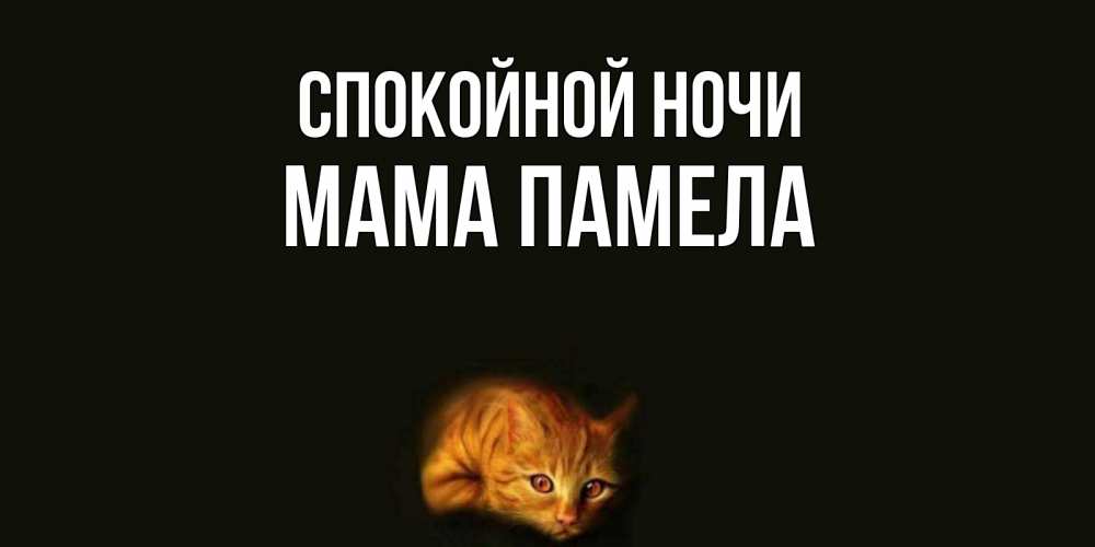 Открытка на каждый день с именем, Мама-Памела Спокойной ночи кот Прикольная открытка с пожеланием онлайн скачать бесплатно 
