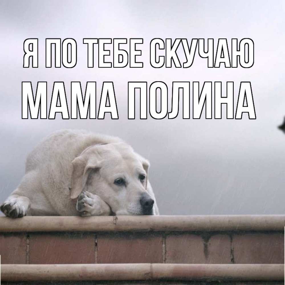 Открытка на каждый день с именем, Мама-Полина Я по тебе скучаю ждет Прикольная открытка с пожеланием онлайн скачать бесплатно 