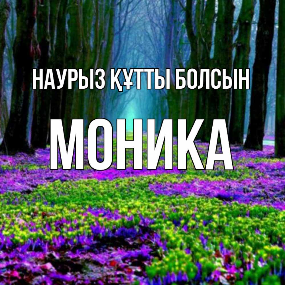 Открытка на каждый день с именем, Моника Наурыз құтты болсын фиолетовые цветы в лесу 1 Прикольная открытка с пожеланием онлайн скачать бесплатно 