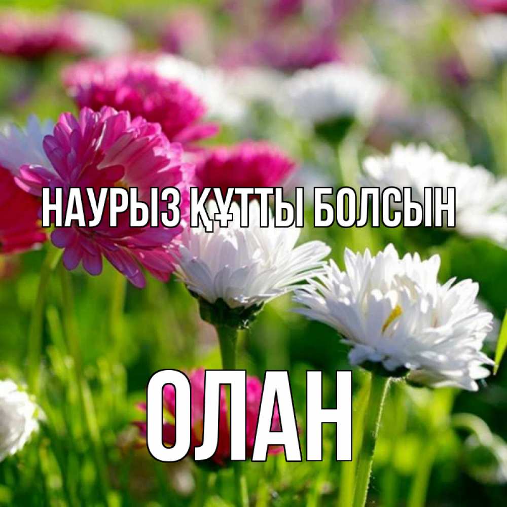 Открытка на каждый день с именем, Олан Наурыз құтты болсын наурыз Прикольная открытка с пожеланием онлайн скачать бесплатно 