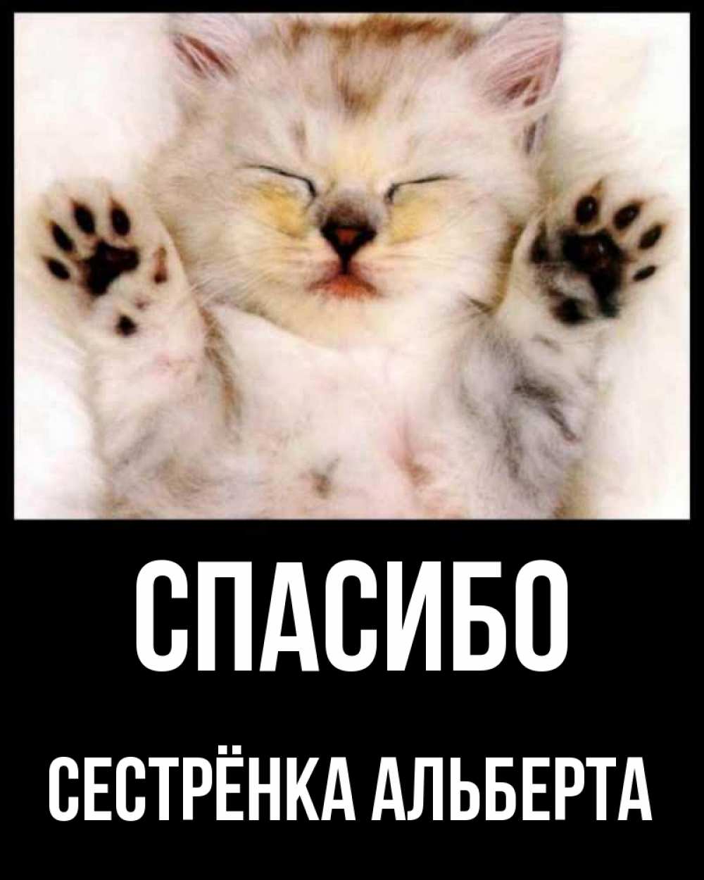 Открытка на каждый день с именем, Сестрёнка-Альберта Спасибо маленький котенок Прикольная открытка с пожеланием онлайн скачать бесплатно 