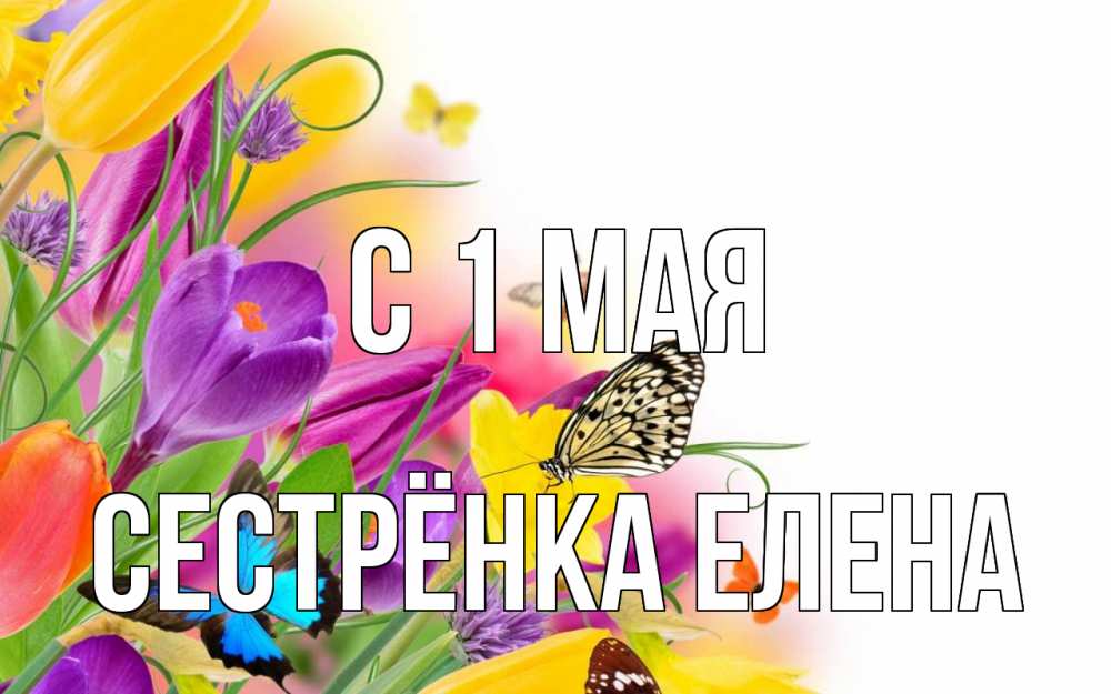 Открытка на каждый день с именем, Сестрёнка-Елена С 1 мая С 1 мая Прикольная открытка с пожеланием онлайн скачать бесплатно 
