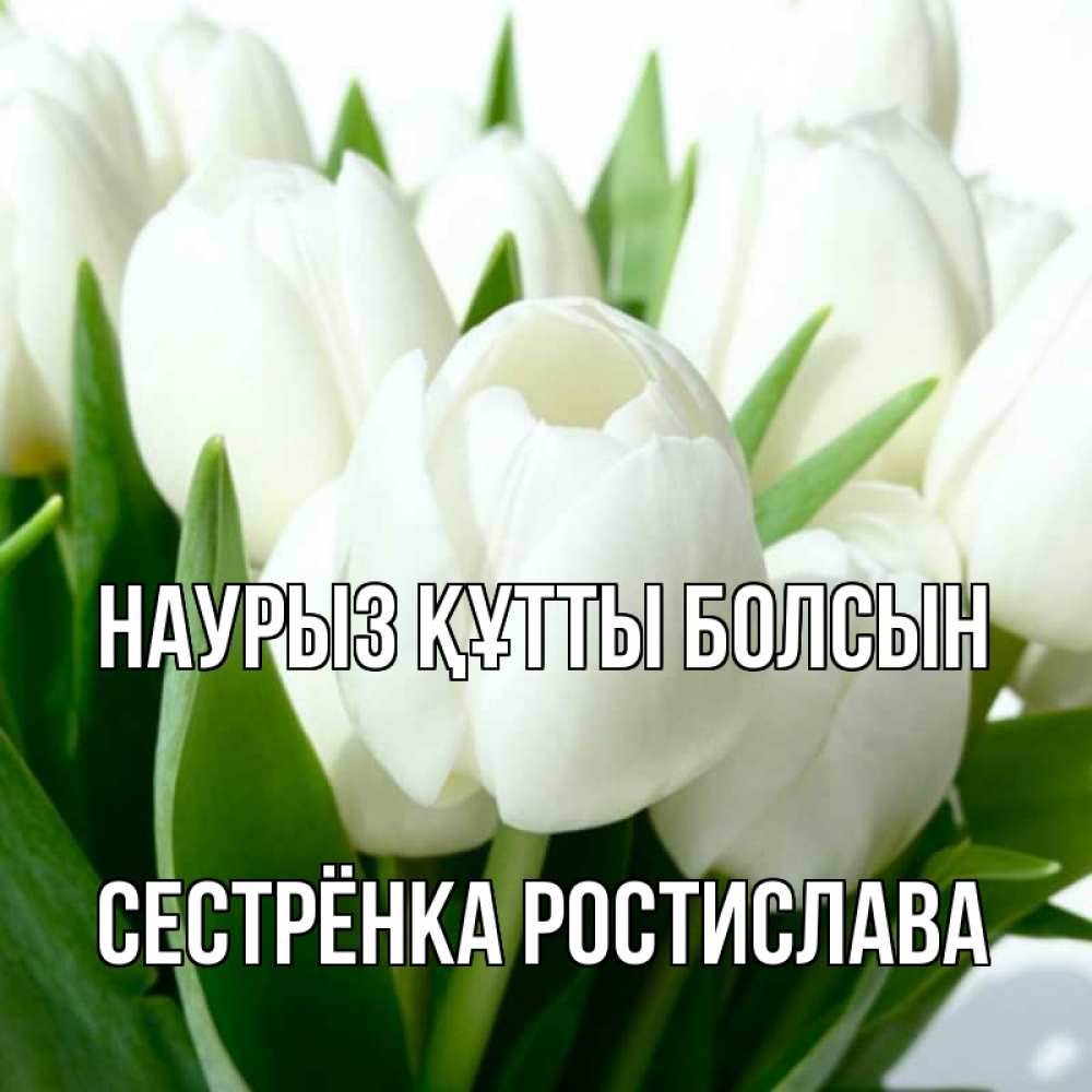 Открытка на каждый день с именем, Сестрёнка-Ростислава Наурыз құтты болсын цветы Прикольная открытка с пожеланием онлайн скачать бесплатно 