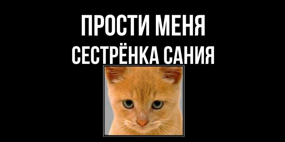 Открытка на каждый день с именем, Сестрёнка-Сания Прости меня рыжий грустный кот просит прощения Прикольная открытка с пожеланием онлайн скачать бесплатно 