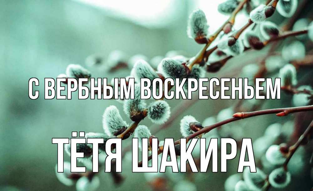 Открытка на каждый день с именем, Тётя-Шакира С вербным воскресеньем верба Прикольная открытка с пожеланием онлайн скачать бесплатно 