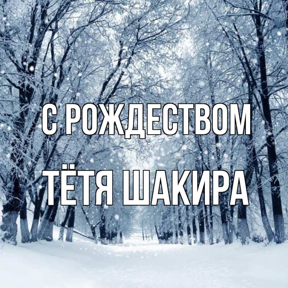Открытка на каждый день с именем, Тётя-Шакира С рождеством снег, лес, парк Прикольная открытка с пожеланием онлайн скачать бесплатно 