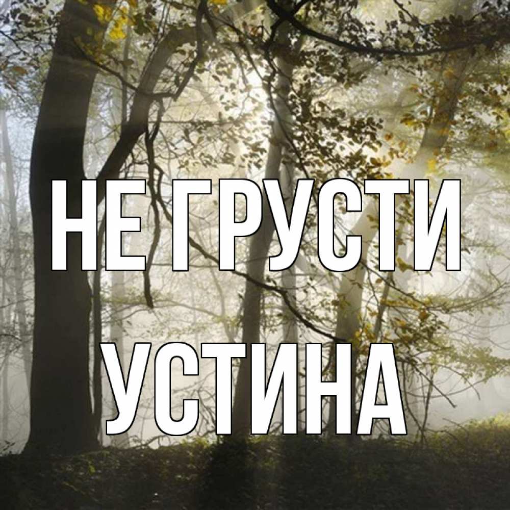Открытка на каждый день с именем, Устина Не грусти лес и свет Прикольная открытка с пожеланием онлайн скачать бесплатно 