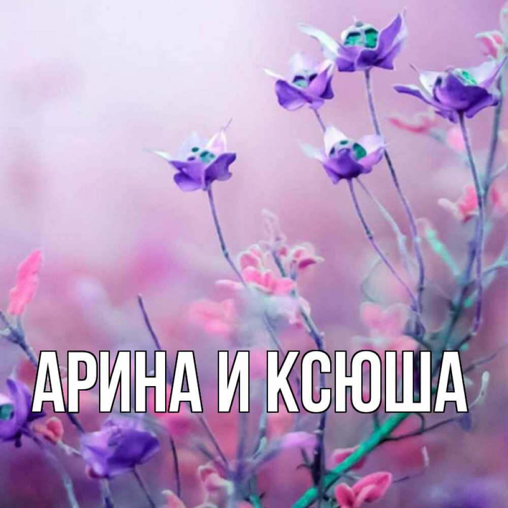 Открытка на каждый день с именем, Арина-и-Ксюша Главная международный женский день 2 Прикольная открытка с пожеланием онлайн скачать бесплатно 