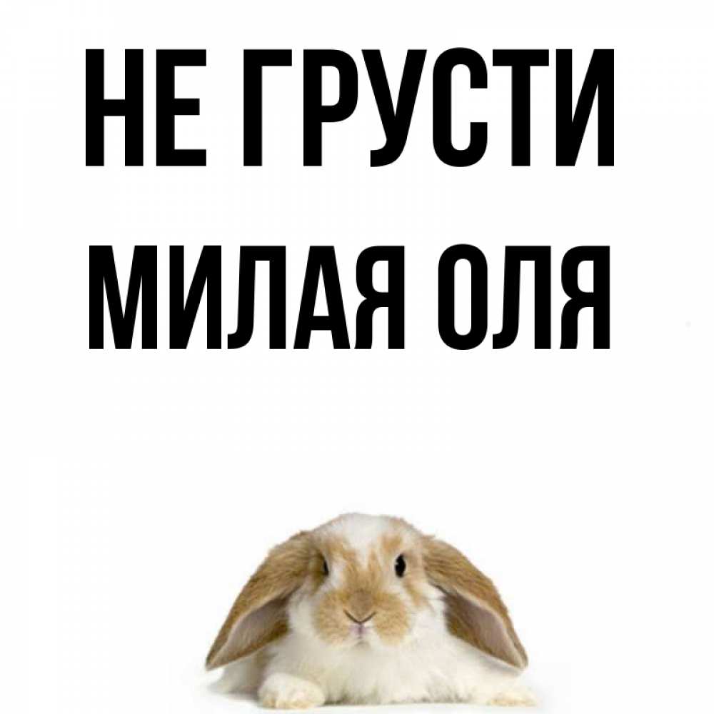 Не грусти милая картинка