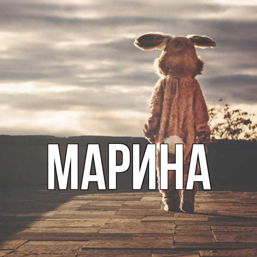 Открытка на каждый день с именем, Марина Главная даже в костюме зайца Прикольная открытка с пожеланием онлайн скачать бесплатно 