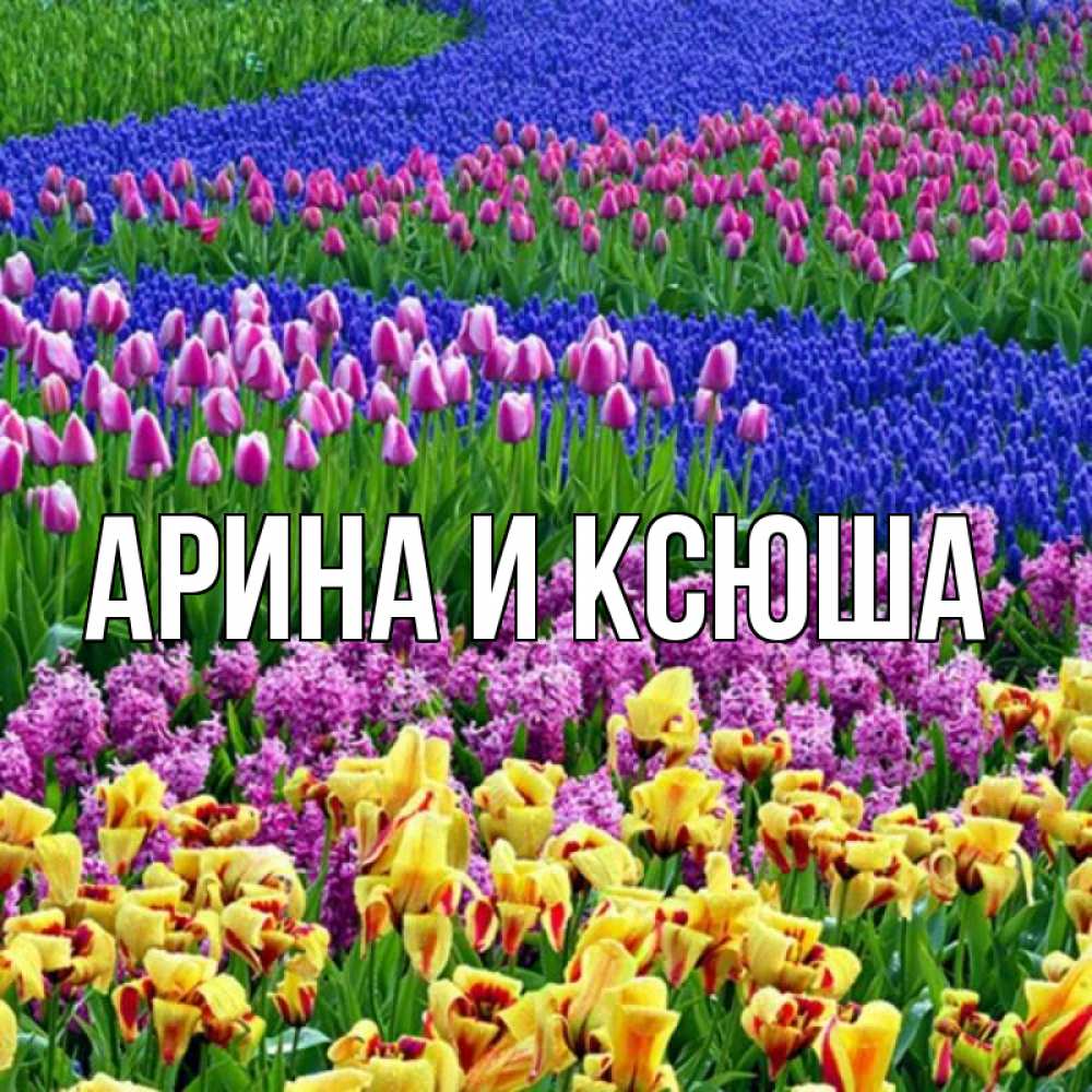 Открытка на каждый день с именем, Арина-и-Ксюша Главная цветы Прикольная открытка с пожеланием онлайн скачать бесплатно 