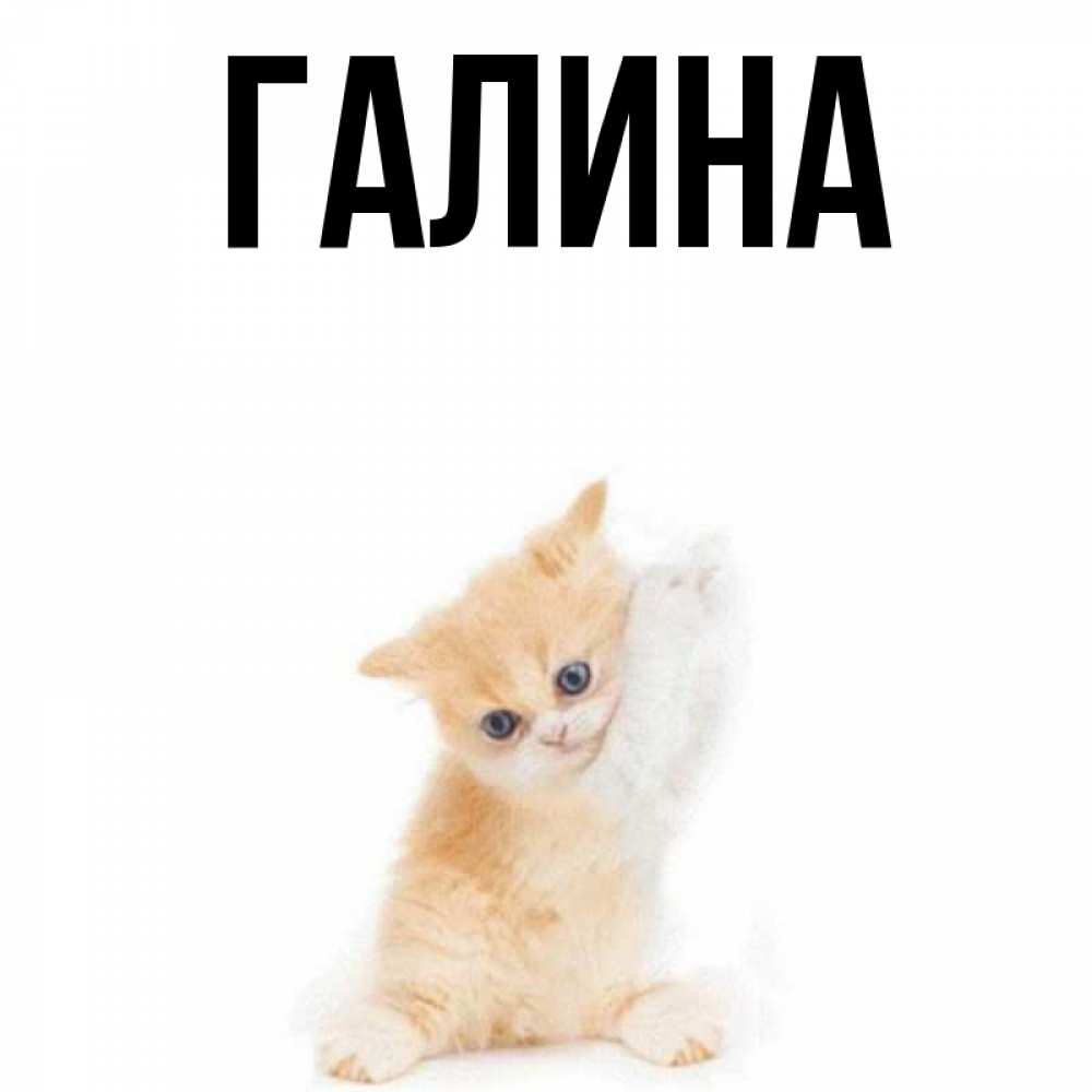 Открытка на каждый день с именем, Галина Главная я хочу очень скорее обнимаешек Прикольная открытка с пожеланием онлайн скачать бесплатно 