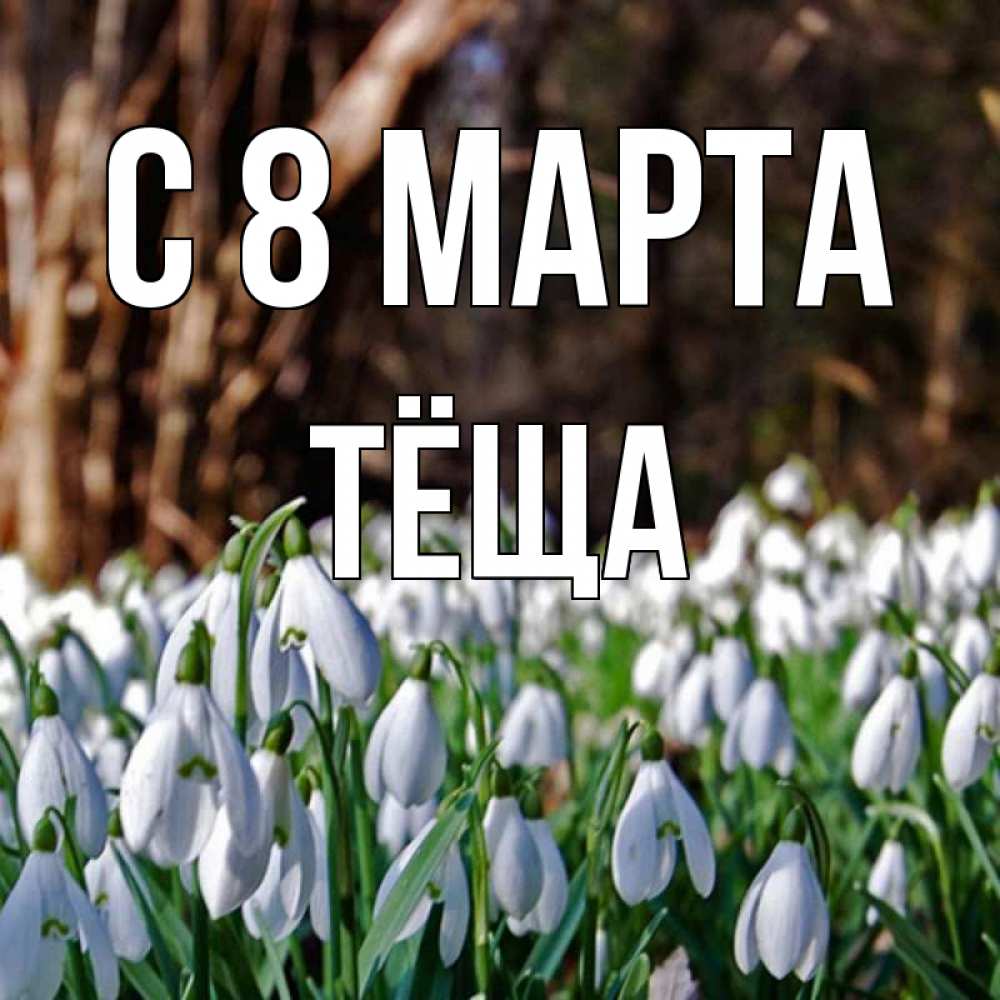 Открытка на каждый день с именем, Тёща С 8 МАРТА с подснежниками 1 Прикольная открытка с пожеланием онлайн скачать бесплатно 