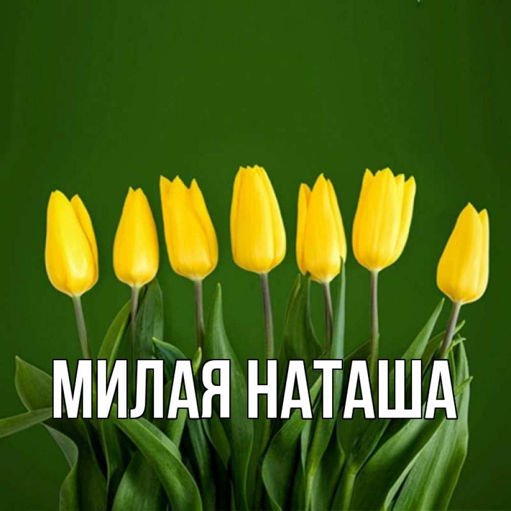 Главная наташа