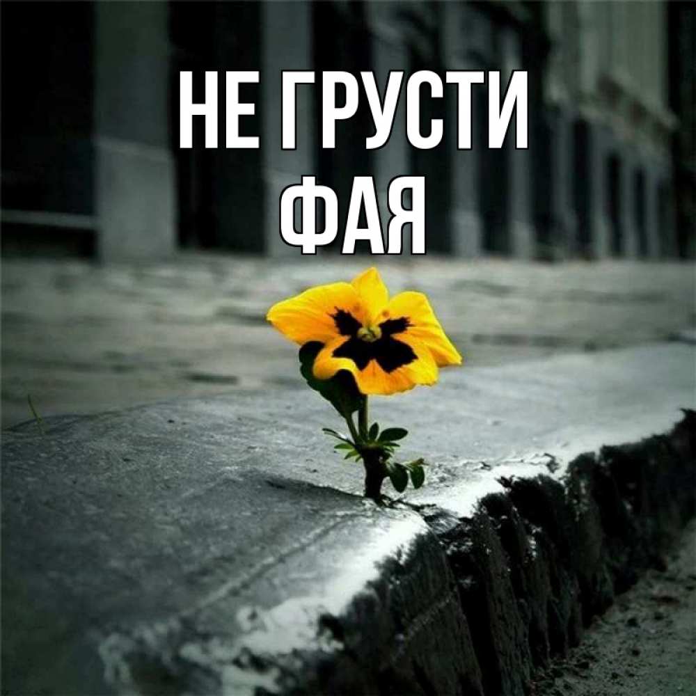 Открытка на каждый день с именем, Фая Не грусти не сдавайся Прикольная открытка с пожеланием онлайн скачать бесплатно 