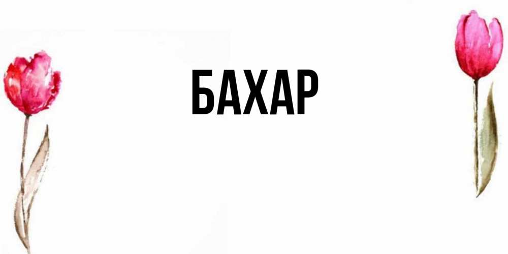 Картинка  с именем , Бахар