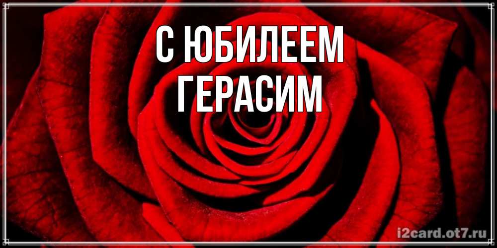 Открытка на каждый день с именем, Герасим С юбилеем алая роза Прикольная открытка с пожеланием онлайн скачать бесплатно 
