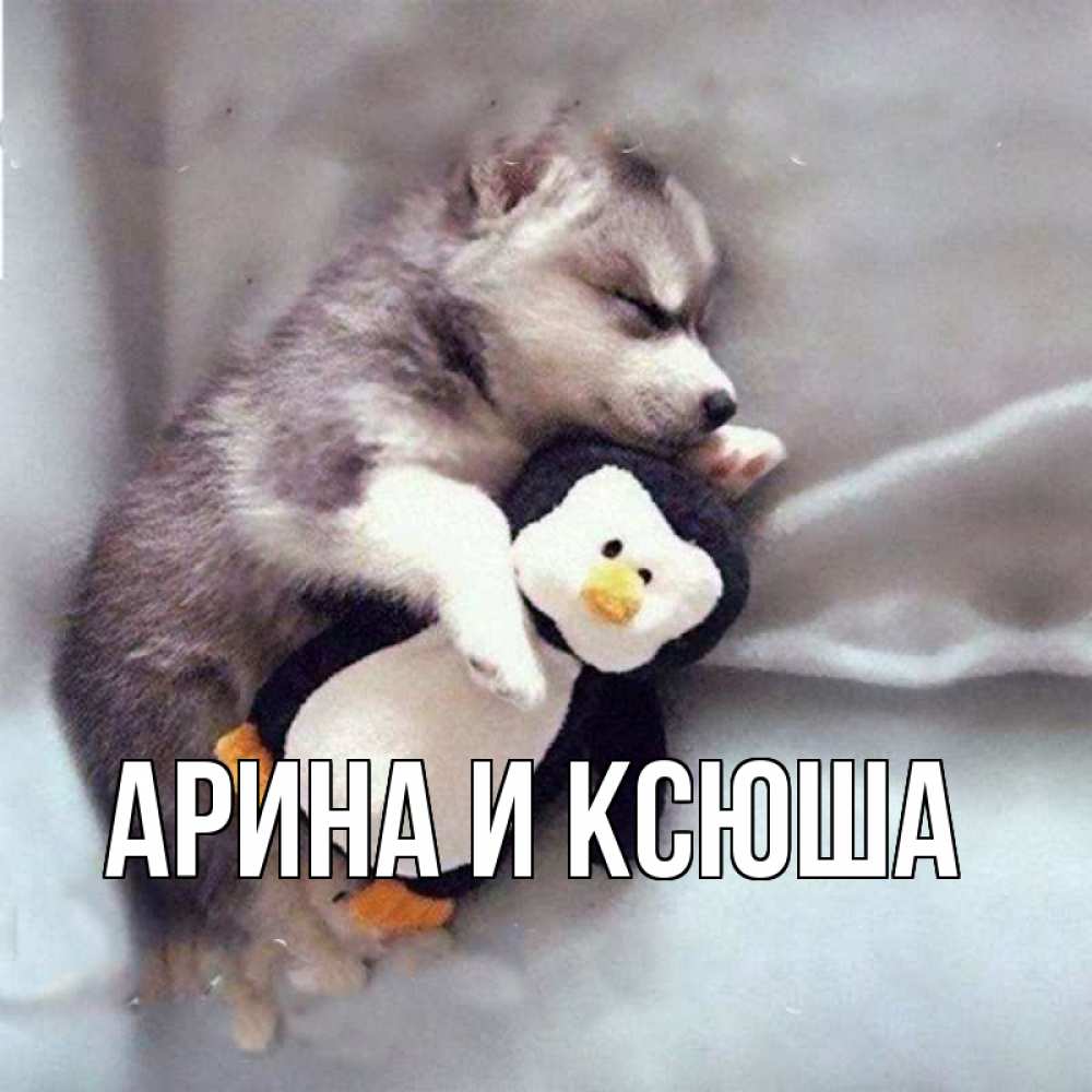 Открытка на каждый день с именем, Арина-и-Ксюша Главная обнимашки щенка и пингвина Прикольная открытка с пожеланием онлайн скачать бесплатно 