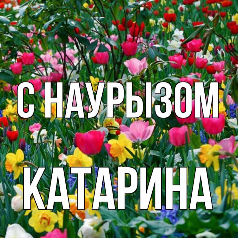 Открытка на каждый день с именем, Катарина С наурызом с наурызом праздником весны поздравления для женщины Прикольная открытка с пожеланием онлайн скачать бесплатно 