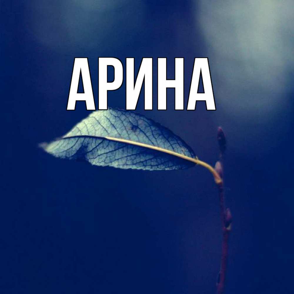 Открытка на каждый день с именем, Арина Главная растение Прикольная открытка с пожеланием онлайн скачать бесплатно 