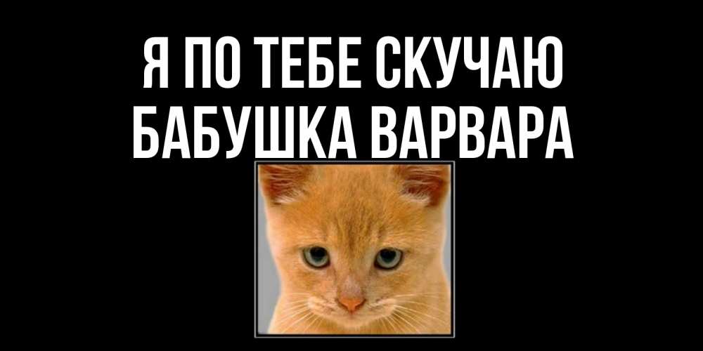Открытка на каждый день с именем, Бабушка-Варвара Я по тебе скучаю открытки рыжий котенок скучает по тебе Прикольная открытка с пожеланием онлайн скачать бесплатно 