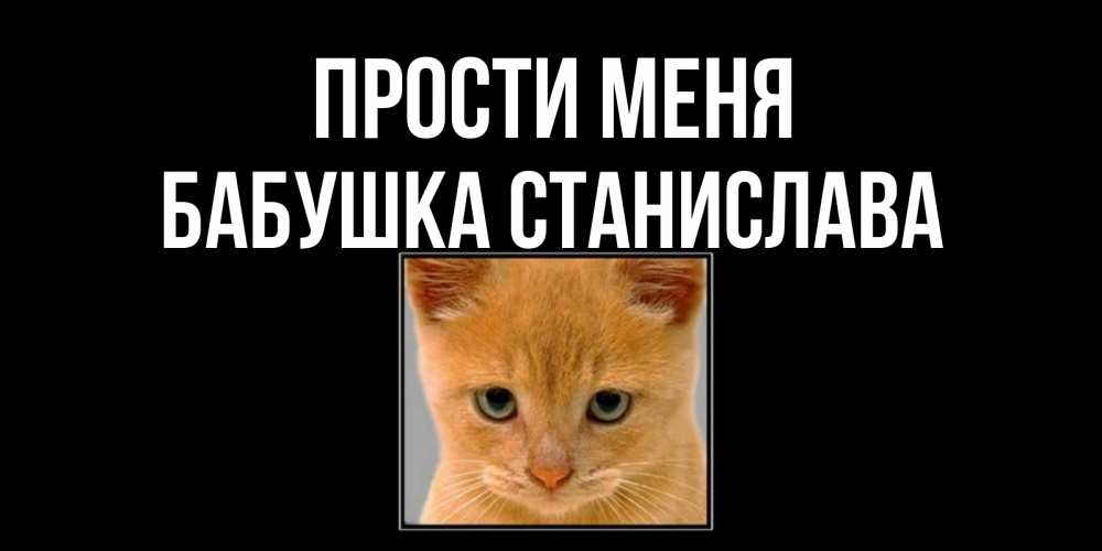 Открытка на каждый день с именем, Бабушка-Станислава Прости меня рыжий грустный кот просит прощения Прикольная открытка с пожеланием онлайн скачать бесплатно 