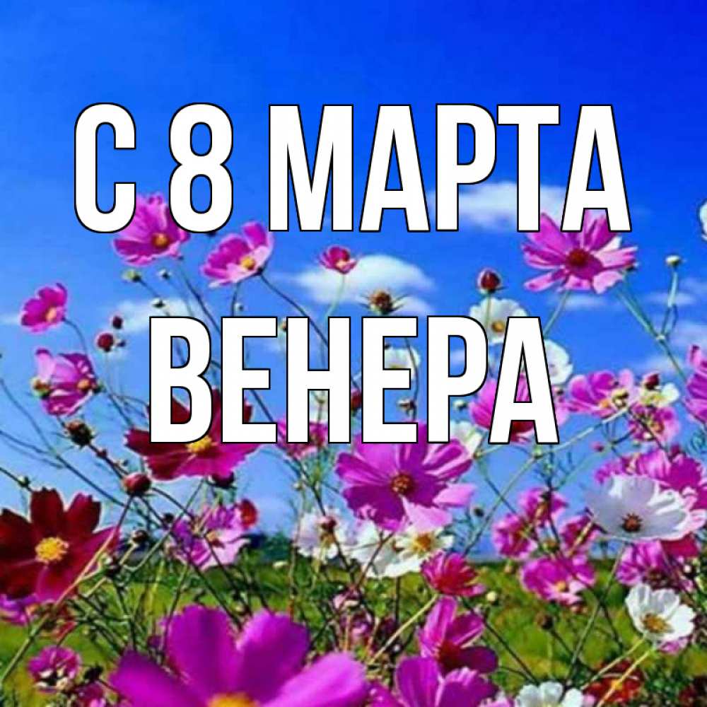 Открытка на каждый день с именем, Венера С 8 МАРТА цветы Прикольная открытка с пожеланием онлайн скачать бесплатно 