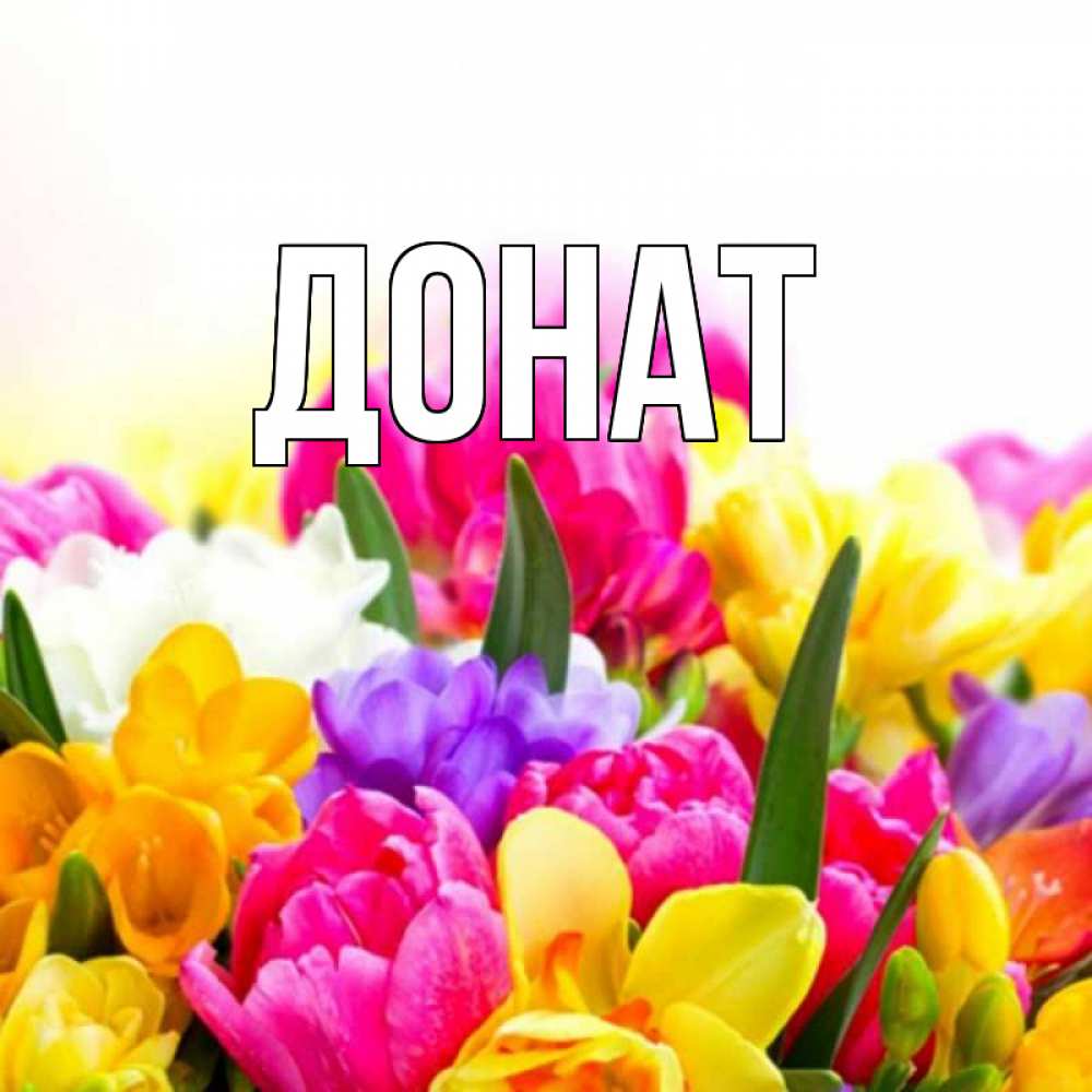 Открытка на каждый день с именем, Донат Главная тюльпаны Прикольная открытка с пожеланием онлайн скачать бесплатно 