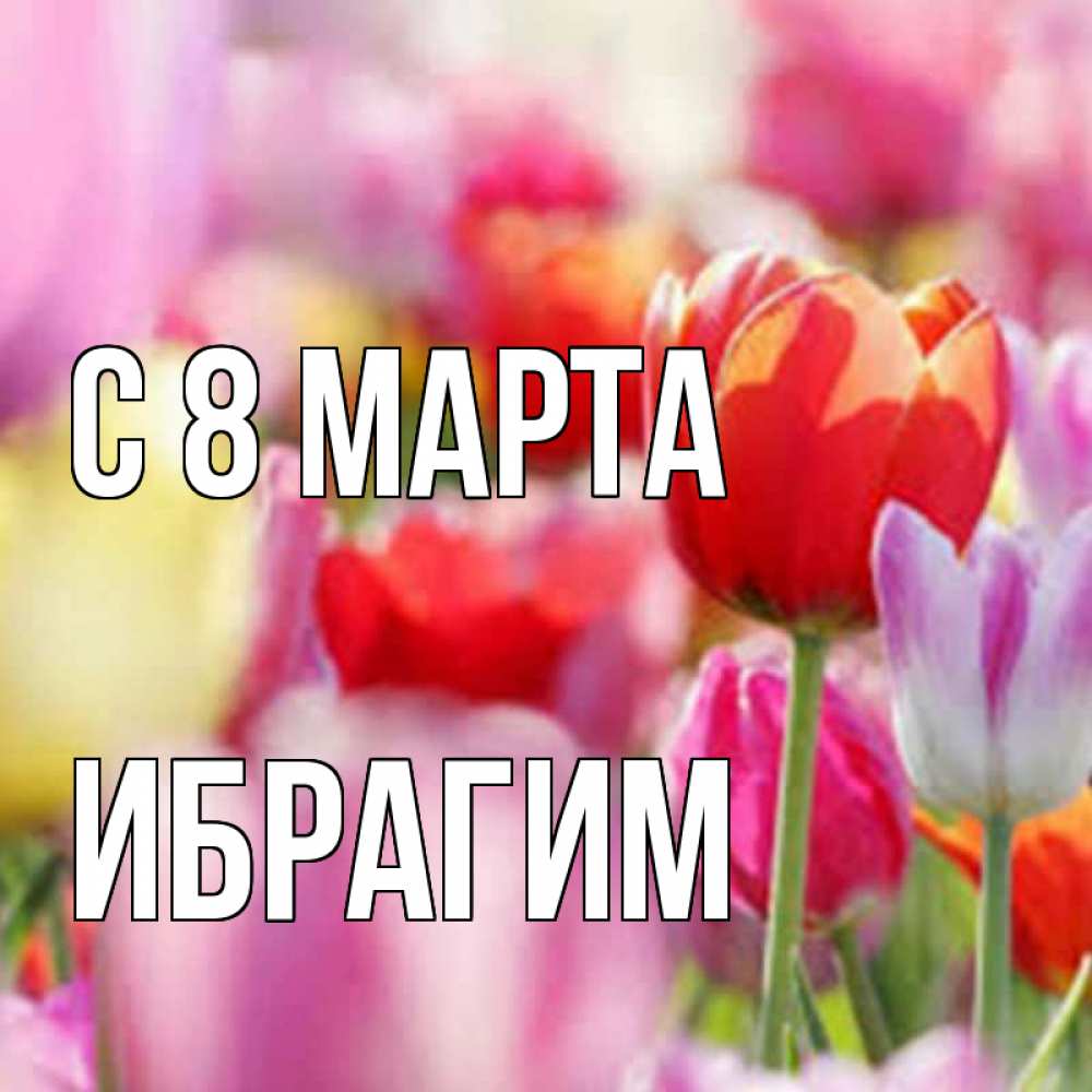 Открытка на каждый день с именем, Ибрагим С 8 МАРТА на международный женский день 2 Прикольная открытка с пожеланием онлайн скачать бесплатно 