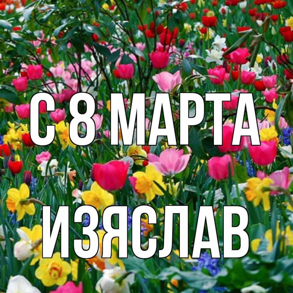 Открытка на каждый день с именем, Изяслав С 8 МАРТА с международным женским днем поздравления для женщины Прикольная открытка с пожеланием онлайн скачать бесплатно 