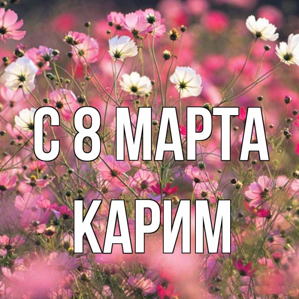 Открытка на каждый день с именем, Карим С 8 МАРТА красиво 1 Прикольная открытка с пожеланием онлайн скачать бесплатно 