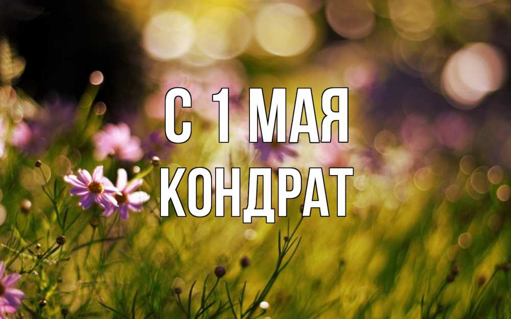 Открытка на каждый день с именем, Кондрат С 1 мая С 1 мая Прикольная открытка с пожеланием онлайн скачать бесплатно 