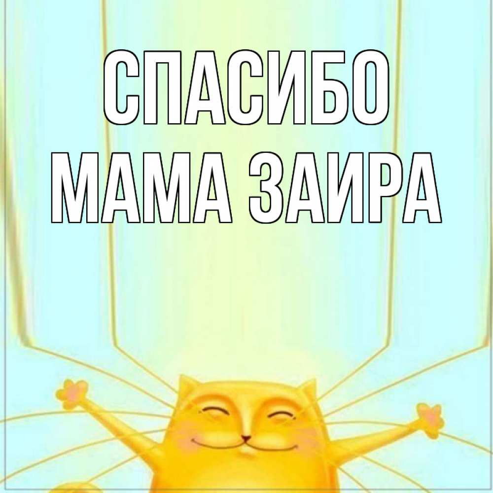 Открытка на каждый день с именем, Мама-Заира Спасибо кот с усами благодарит Прикольная открытка с пожеланием онлайн скачать бесплатно 