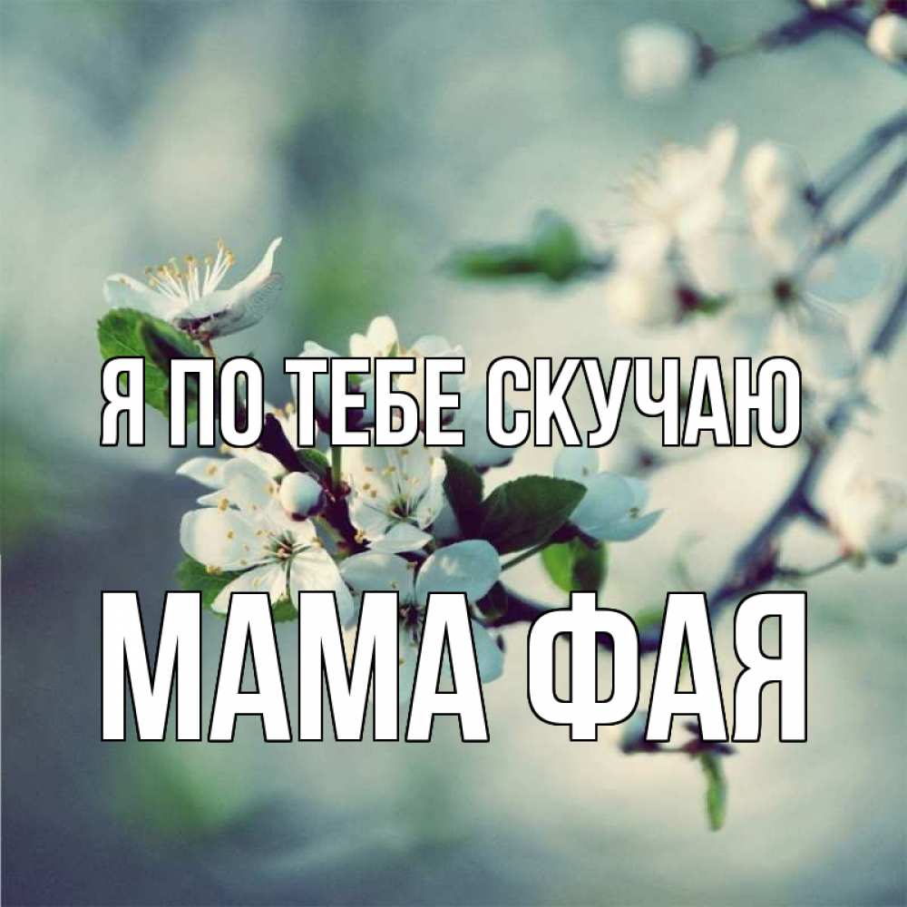 Открытка на каждый день с именем, Мама-Фая Я по тебе скучаю весна Прикольная открытка с пожеланием онлайн скачать бесплатно 