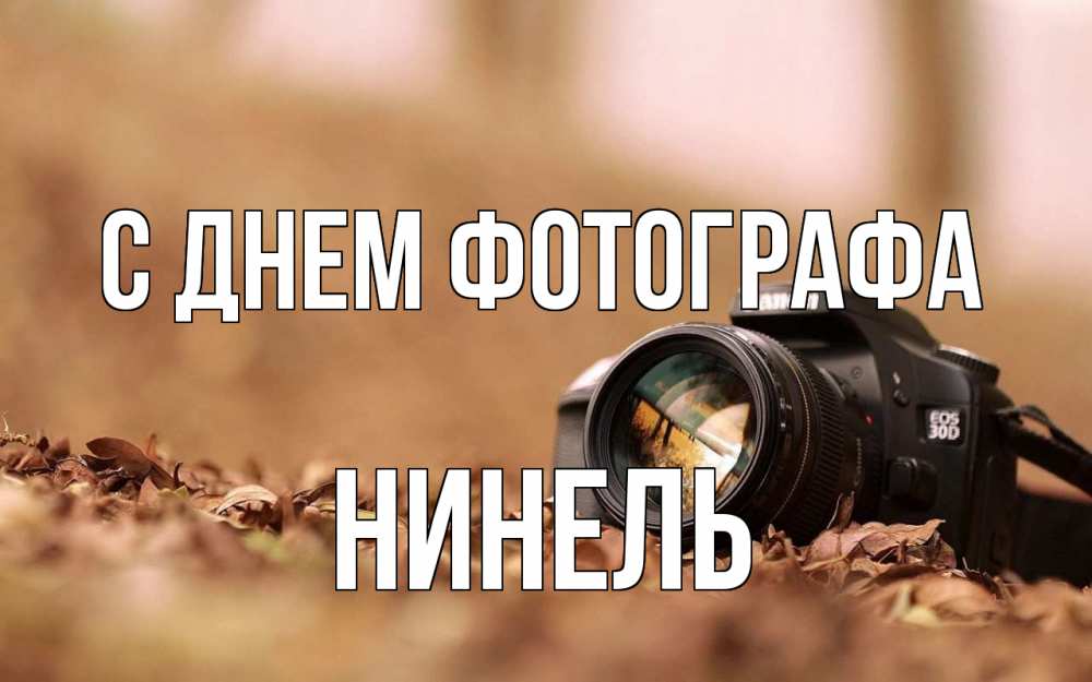 Открытка на каждый день с именем, Нинель С днем фотографа с днем фотографа Прикольная открытка с пожеланием онлайн скачать бесплатно 